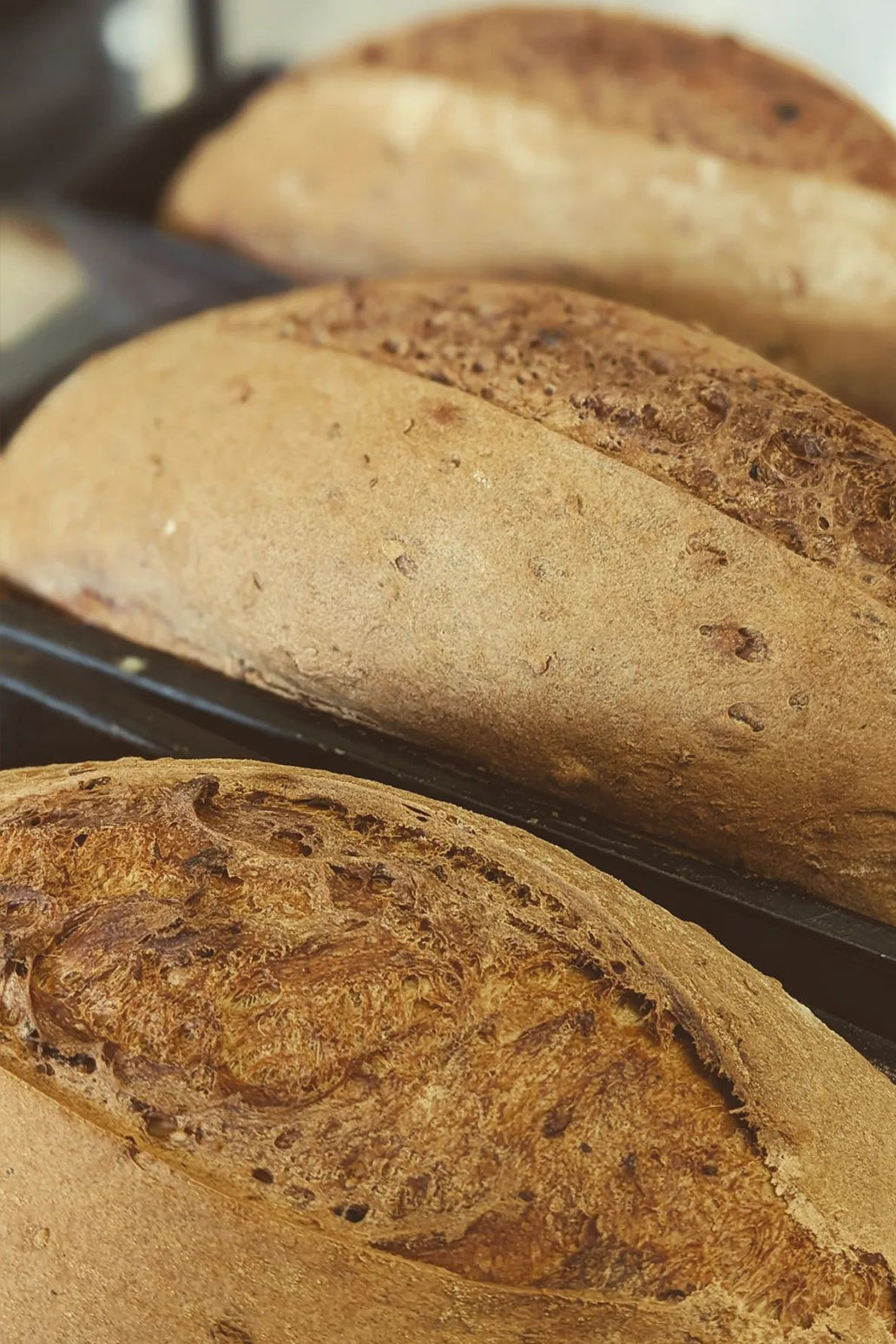 💚 Pane ai Cereali (cotto in giornata)